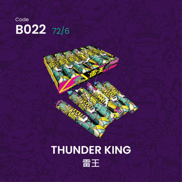 THUNDER KING雷王