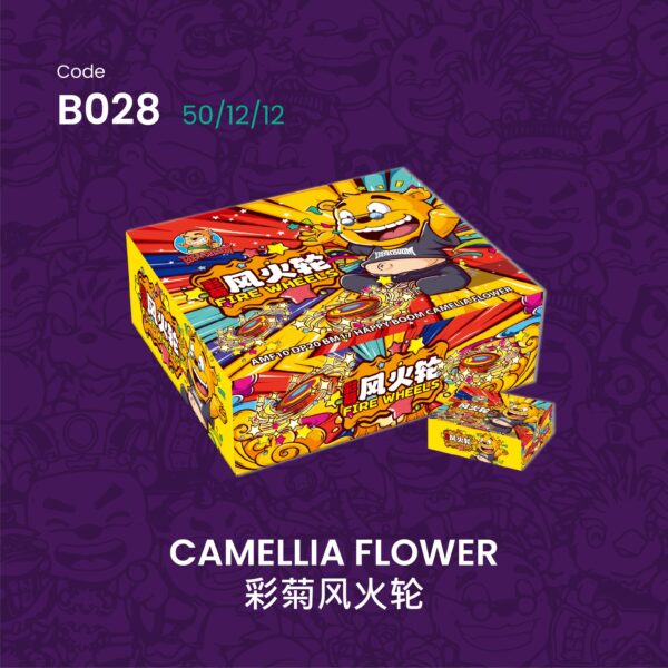 CAMELLIA FLOWER 彩菊风火轮